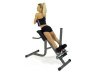 Bodycraft F670 Hyper Extension And Oblique Roman Chair Bench