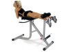 Bodycraft F670 Hyper Extension And Oblique Roman Chair Bench