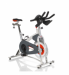 Schwinn AC Sport Indoor Cycle Bike